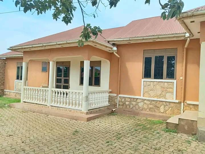 KaketoMark's tweet photo. #Rental units up for sale !!
Location#SEETA_NAMUGONGO RD
#2finished units of#2bedrooms#2bathrooms
#1shell unit of #2bedrooms#2bathrooms
All sitting on#15decimals
Ready private Milo land title
Asking price is#140m ugx
Just#40meters off tarmac
What's up me interested parties !! https://t.co/LCiK4sLfar