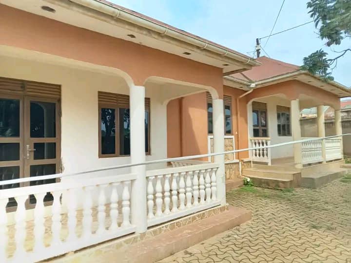 KaketoMark's tweet photo. #Rental units up for sale !!
Location#SEETA_NAMUGONGO RD
#2finished units of#2bedrooms#2bathrooms
#1shell unit of #2bedrooms#2bathrooms
All sitting on#15decimals
Ready private Milo land title
Asking price is#140m ugx
Just#40meters off tarmac
What's up me interested parties !! https://t.co/LCiK4sLfar