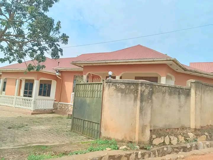 KaketoMark's tweet photo. #Rental units up for sale !!
Location#SEETA_NAMUGONGO RD
#2finished units of#2bedrooms#2bathrooms
#1shell unit of #2bedrooms#2bathrooms
All sitting on#15decimals
Ready private Milo land title
Asking price is#140m ugx
Just#40meters off tarmac
What's up me interested parties !! https://t.co/LCiK4sLfar