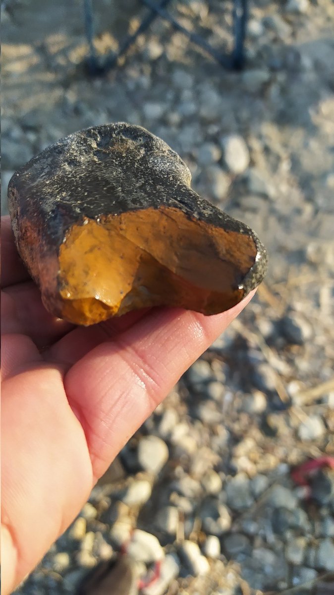ceomobil's tweet photo. Büyükçekmece
#paleo
#stoneaxe
Kıyıcı alet olabilir mi ? https://t.co/UMeZdouj5E