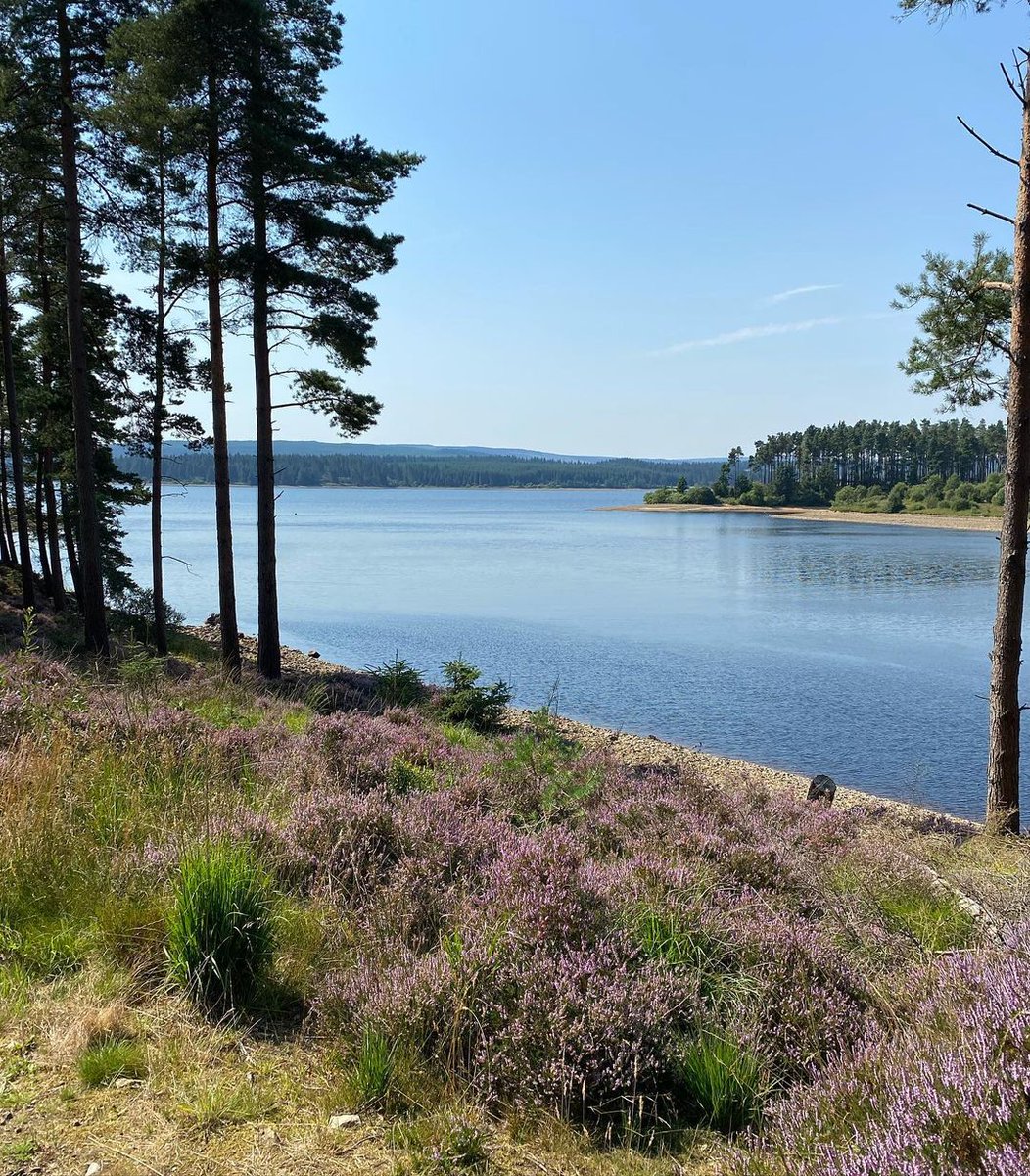 Fearless_Bikes's tweet photo. Repost from insta: ben01cookson. Weekend camping trip and a trial run for longer adventures. Kielder Forest, Northumberland National Park. Picked an amazing weekend for it must be said. #fearlesswarlock #adventurebybike https://t.co/QI6ufBgCgr