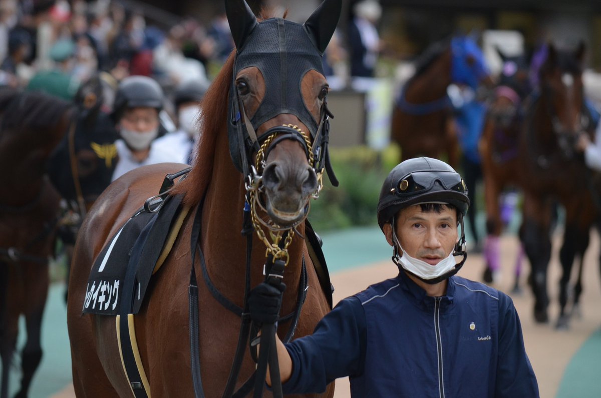 テイオー孫トーカイキング

中２週で臨んだレースは
７着でした(;^_^A

じっくりと３勝目を
目指してほしいと思います‼

姉ベストクィーンは
栗東の牧田厩舎から今度は
南田美知雄（美浦）厩舎に
移籍と慌ただしいですね💦 