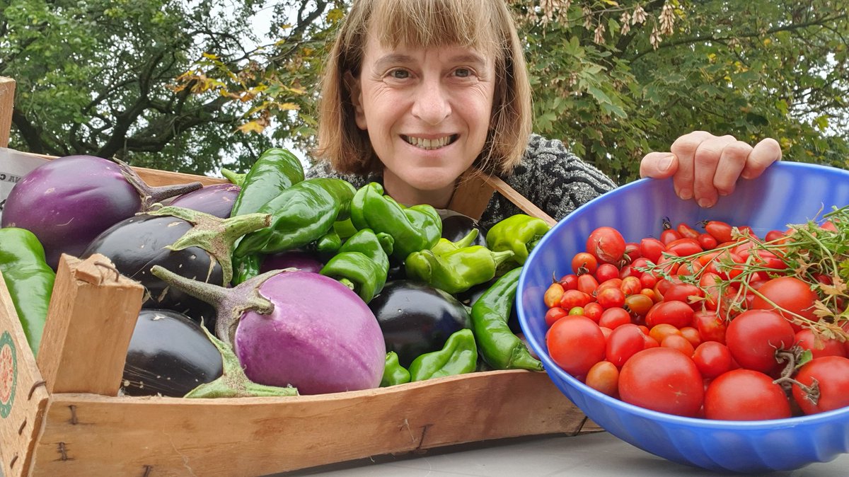 mantolalla's tweet photo. Ottimo raccolto anche oggi!
#orto #ortofrutta #bio #biologico  #ortobio #kmzero #autoproduzione #autoconsumo https://t.co/eOmYHXPB3E