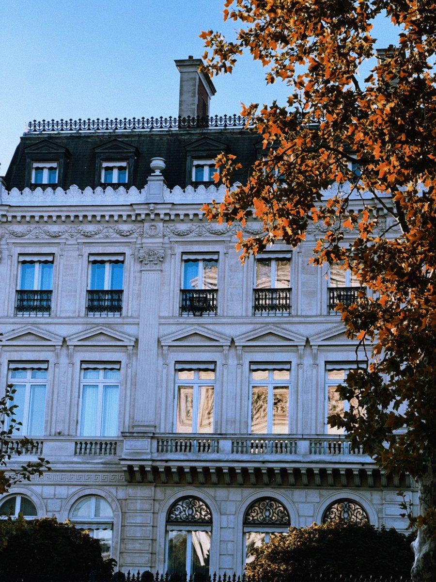 stevekhattar's tweet photo. L'automne à #Paris 🇫🇷 https://t.co/OAkmu862Ck