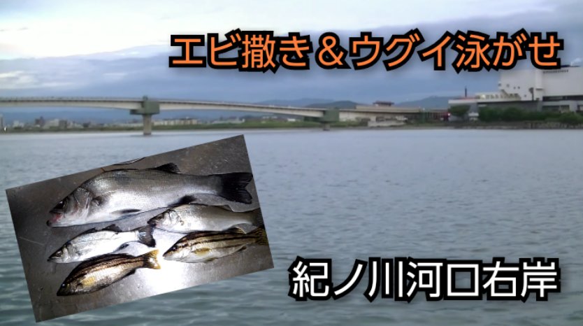 和歌山釣り Twitter Search Twitter