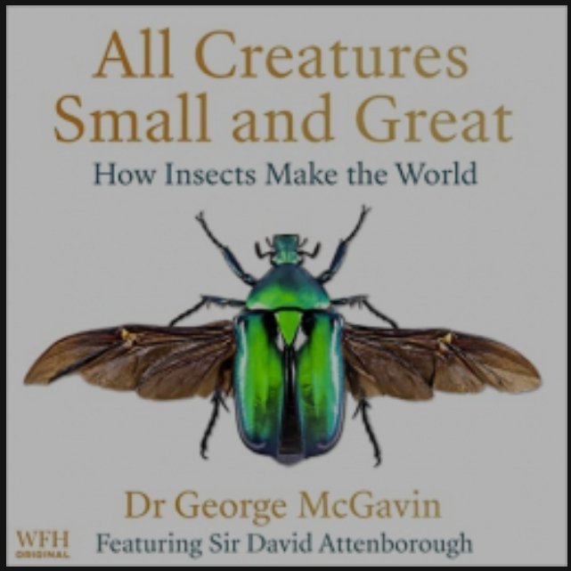ladyreading365's tweet photo. BOOK REVIEW ALL CREATURES SMALL AND GREAT BY DR GEORGE MCGAVIN #review https://t.co/tnZrcqsiCZ @WFHowes #allcreaturessmallandgreat #georgemcgavin #insects #insectbook #audiobook #audible #audiobookrecommendation #audiobookreview #nonfictionbooks #newreleasebooks #2022audiobooks https://t.co/8irSBYdjay