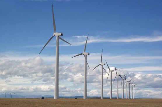 العمران - الجوف tweet media