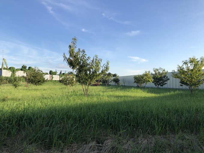 1 写真・横浜の草地
2 1から生成・タグ「Field」
3 1から生成・タグなし
4 1から生成・タグ「sexually suggestive

Novel AIのエロ妄想力に……負けた……
2と3はそのまま使えそう(もう少しクオリティが欲しい

#NovelAIDiffusion 