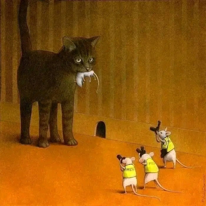 MikeSte05195855's tweet photo. Le sort scellé qui attend un petit ras #étranger qui veut devenir un crapaud #Congolais.
Nous nous impatietons de vivre la scène télédiffusé.😁
#Vivement_2023.✌️
@fatshi13
@AugustinKabuyaT 
@BizibuDeo 
@kazadi_peter 
@juantedbelkas 
@ChristianLumu31 https://t.co/0H4gD4iLU9