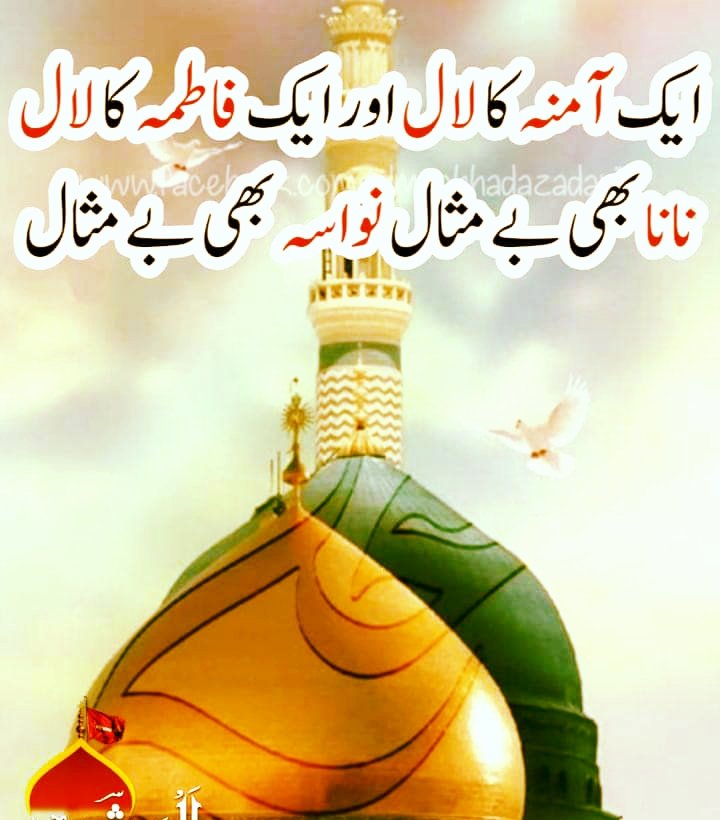 Syed Shah Hussainسید شاہ حسین tweet media