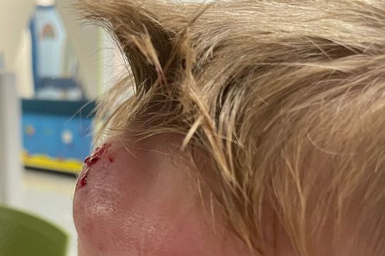 Birmingham Live tweet media