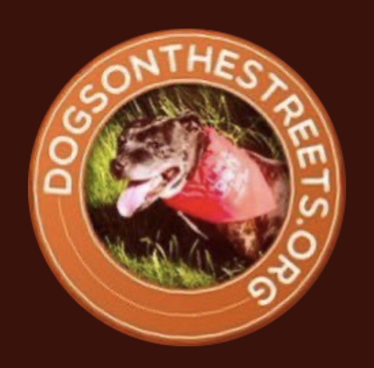🧡WE, LIKE MANY SMALLER CHARITIES ARE STRUGGLING🧡

We’re supporting many cases in all areas of vulnerability,aswell as saving dogs in animal welfare cases.

Your donations support immensely

Today is SUNDAY Super £ 

A donation of £1 will help us a lot

dogsonthestreets.org/donate