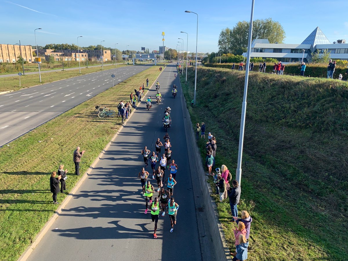 Tamara Goldsteen tweet media