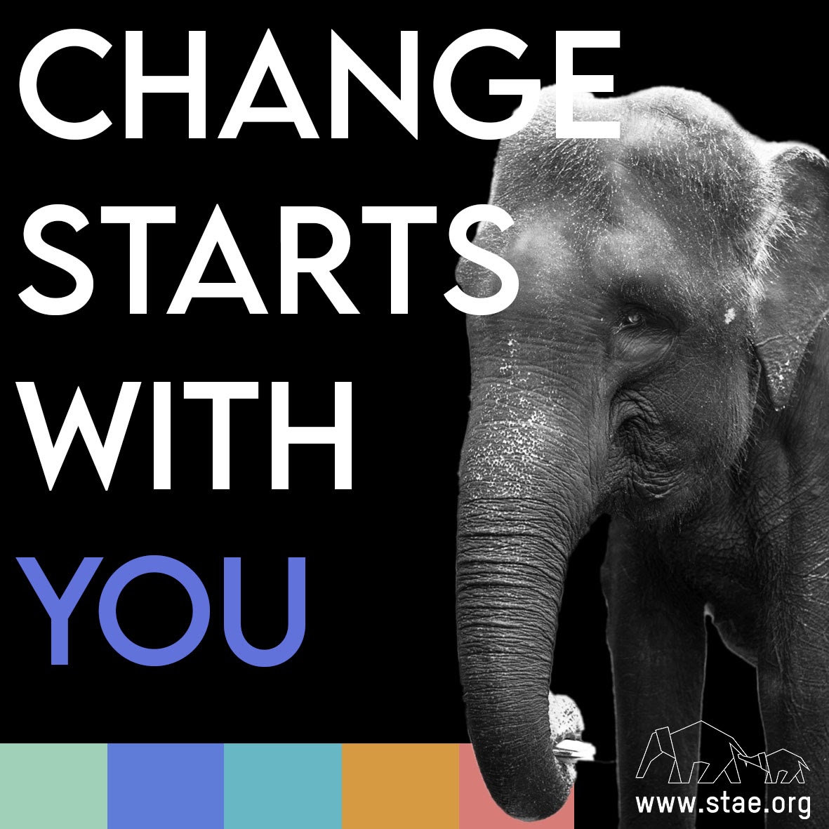 Save The Asian Elephants tweet media