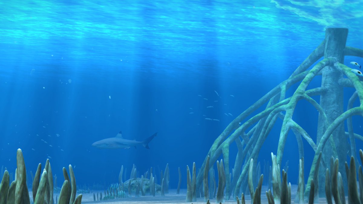 Mangrove forests provide a nursery for many marine species. Juvenile sharks rely on mangroves for protection and feeding in the first few years of life 🦈 Find sanctuary in these nurseries as you swim through the Sea We Breathe interactive web experience: bluemarinefoundation.com/the-sea-we-bre…