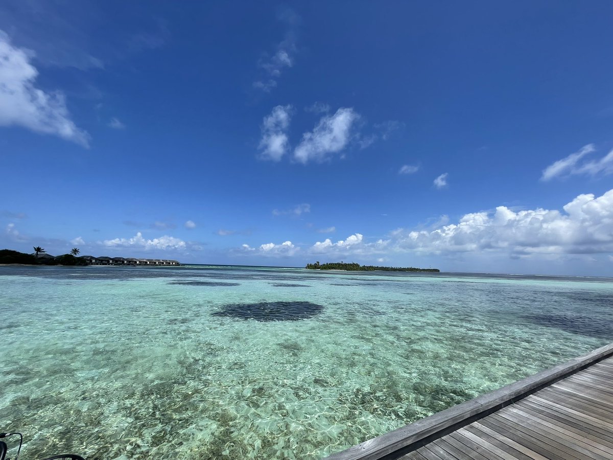 Paulez_D's tweet photo. Morning #Maldives https://t.co/oj0jgzJwOH