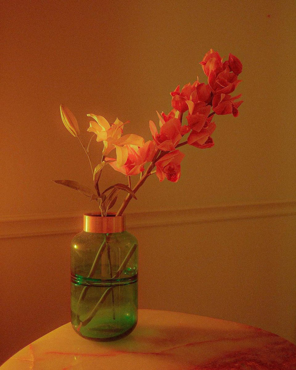 simiammiam's tweet photo. Flora https://t.co/pMsKNZRPzQ