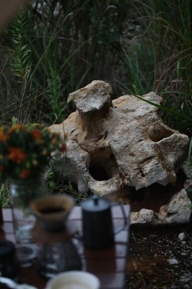 @ttsofiatt1 (@ttsofiatt11) on Twitter photo 