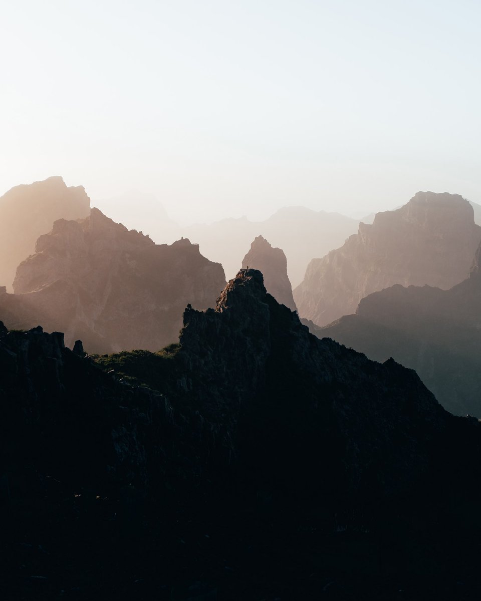 Paul Boomsma tweet media