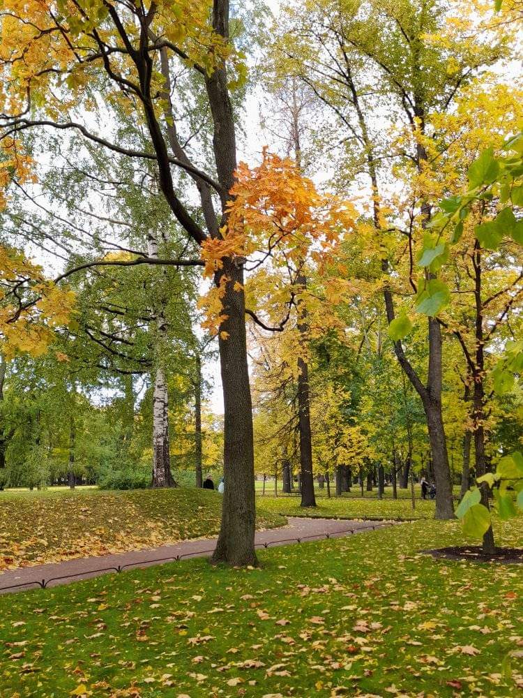 darinapaz991's tweet photo. В сложной жизненной ситуации тебя поймут лишь двое... – тот, кто сам прошёл через это, и тот, для кого ты больше, чем Жизнь... https://t.co/UvoHb6kmQd