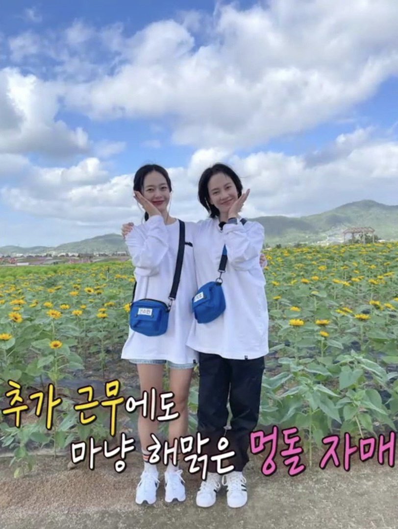 🌻🌻🌻