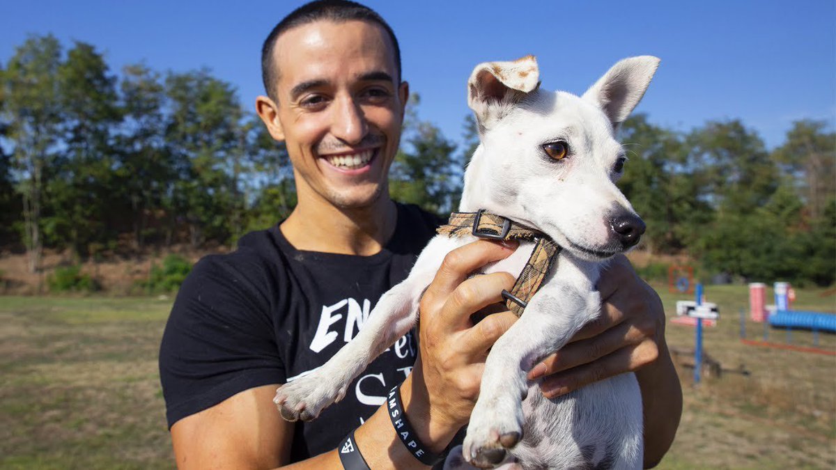 TiboInShape's tweet image. Mon chien joy surnommé « protéine » s’est perdu à ALBI écrivez-moi par e-mail si vous l’avez retrouvé avec photo preuve. Sérieux uniquement merci ! 
Tiboinshapevideo@gmail.com