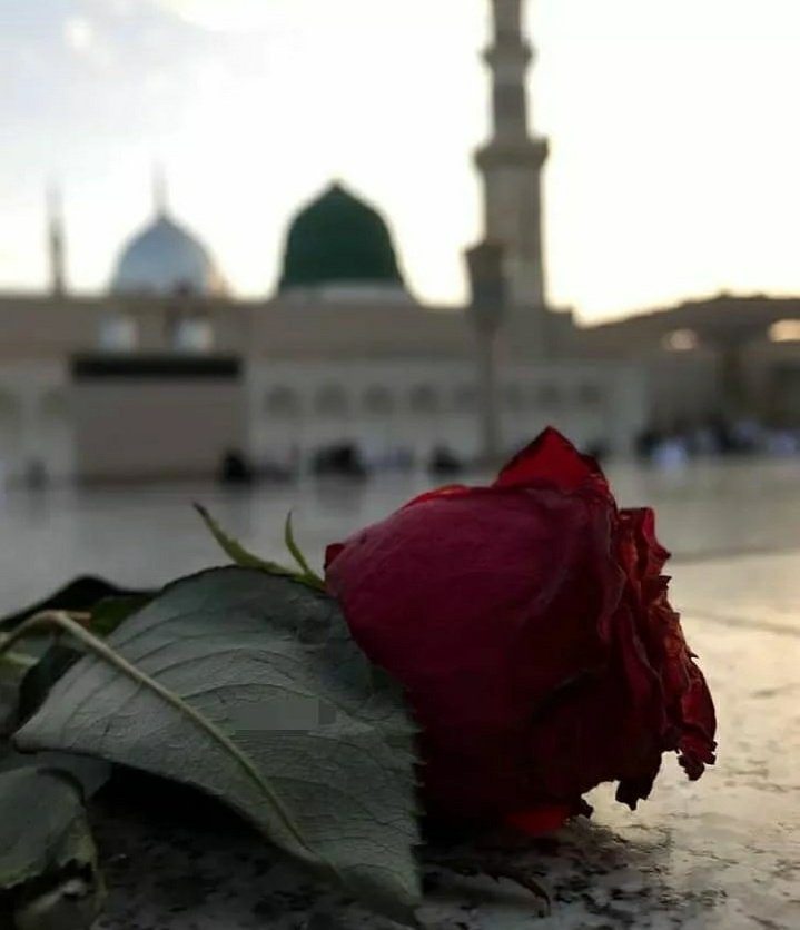 butool_fatima_'s tweet photo. Mera Salam Ho Us Nabi (sw) Pe Jiske Qadmo'n Me Moula Ali (as) Ne Apni Zindagi Guzaar Di 💚

#ProphetForAll https://t.co/XzVF10b2WJ