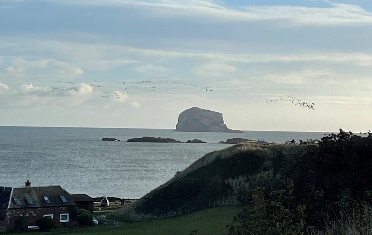The geese calling as they return to roost has to be one of the best sounds of #autumn in #EastLothian.
#LoveEastLothian
📷Jackie Shuttleworth