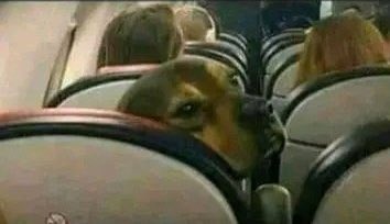 Masanja @mkandamiziji jipange nina Silaha ya mwisho ya kukusambalatishaaa are you ready? 😁😁😁 hii ni Bab kubwaaa