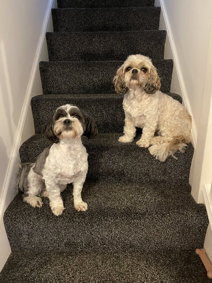 Gary williams tweet media