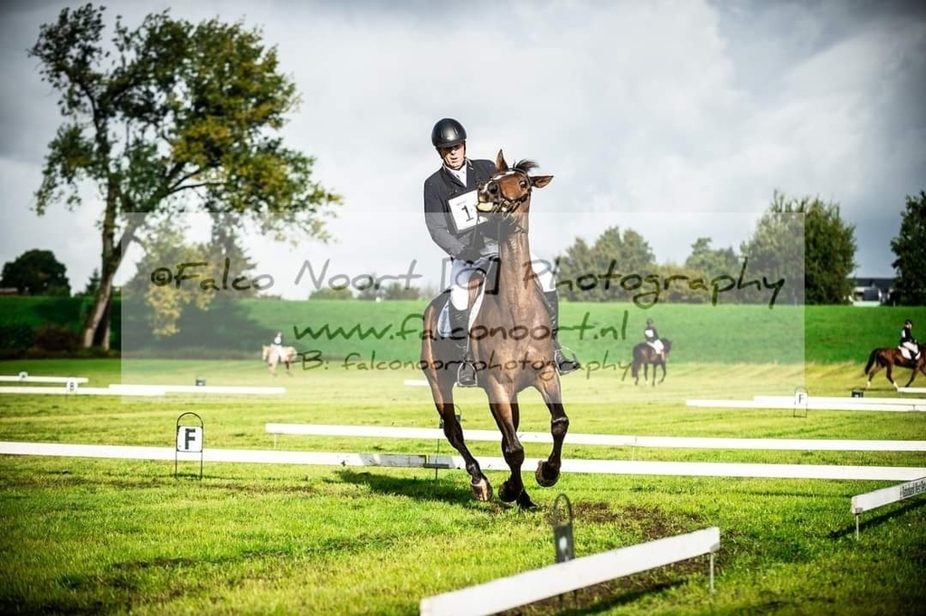 FalcoNoort's tweet photo. Throwback naar 1 oktober jl.
Het was weer een prachtige dag bij SGW West Betuwe.
Regen, een ver gerommel van onweer en prachtige stormluchten. Het was weer een geslaagd evenement!

Alle foto's staan weer online:

https://t.co/zTAz9sZqBk

===============… https://t.co/J70qF3xk0c https://t.co/iz0wYy6BJx