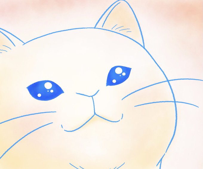 『すきま猫とくまちゃん《6》』を描きました良かったらご覧くださいプロフィールのURLから飛べます 