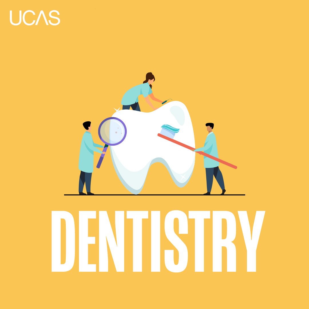 ucas_online's tweet photo. SWIPE to see which courses are included in the 15 October application deadline!
Submit your application to us before 18:00 (UK) on the 15 October and we'll do the rest.👍 

For more advice on getting your application in on time 👉 https://t.co/MDB852YMgf https://t.co/hp8VlMWn0G