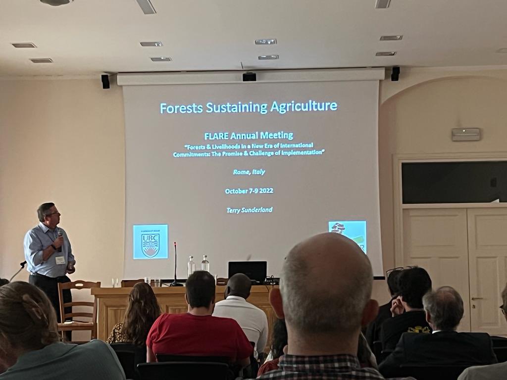 Sunderland Lab tweet media