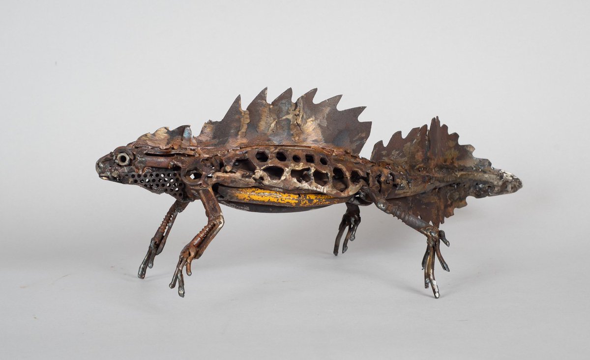 HarrietMead1's tweet photo. Great Crested Newt. I've included a flash of yellow from the handles of a pair of tinsnips for the belly colour. Spots are bike spanners. #newt #newtsculpture https://t.co/qJFNePR9j7