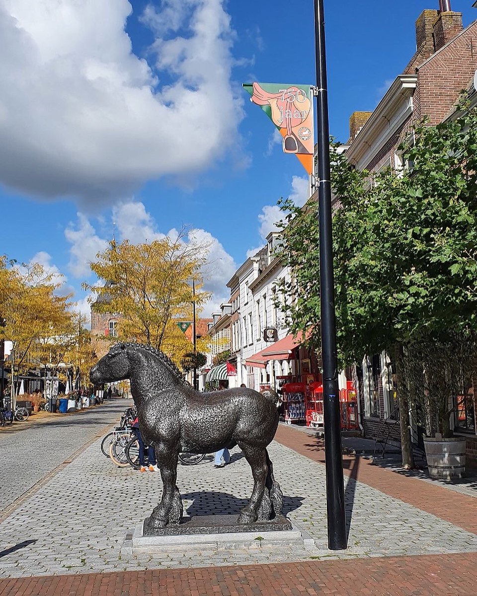 Feestelijke banieren op de Voorstraat om te vieren wat vorig jaar niet kon: 750 jaar Paardenmarkt Vianen!
Op naar een mooie 751e editie, zin in!