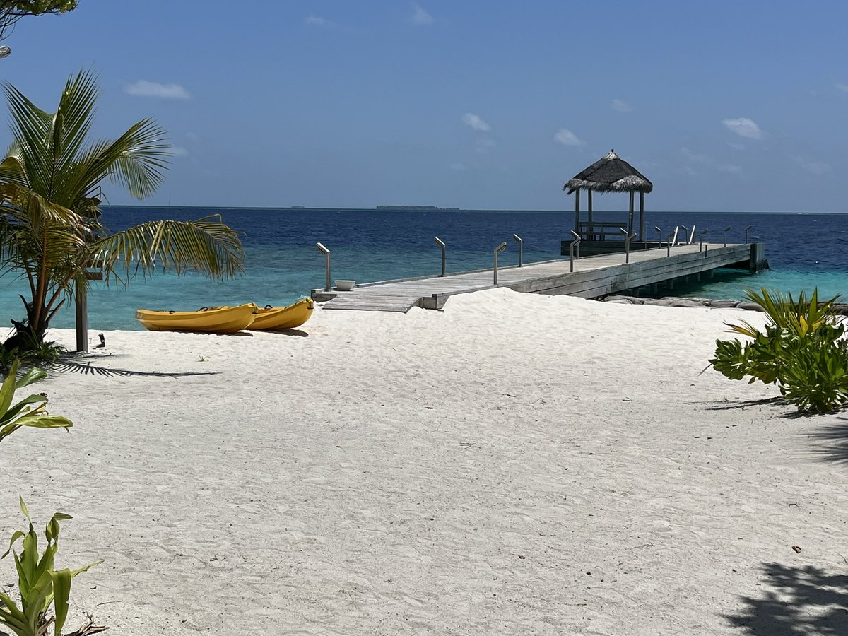 CiriSince1978's tweet photo. #istantanea di una #Domenica di #Ottobre #Bathala #Maldive https://t.co/5OXIPseijT