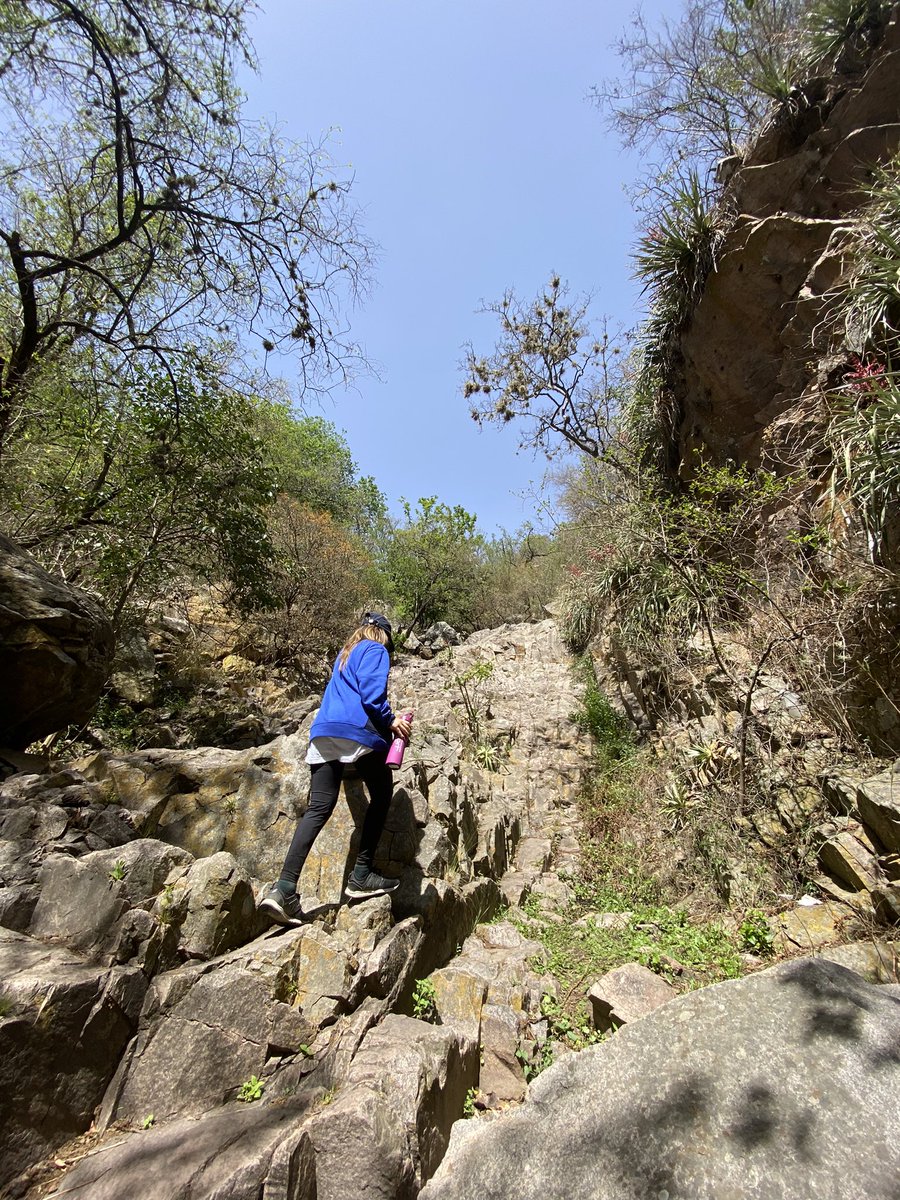 lucas_uema's tweet photo. Yesterday we took a 33km trip to a lovely waterfall to collect a @poapxyz using the @beweedotme game!

What I learned: Dropping POAPs on remote places can be tough since collector might not have good internet while trying to collect. https://t.co/E55iNVI10k