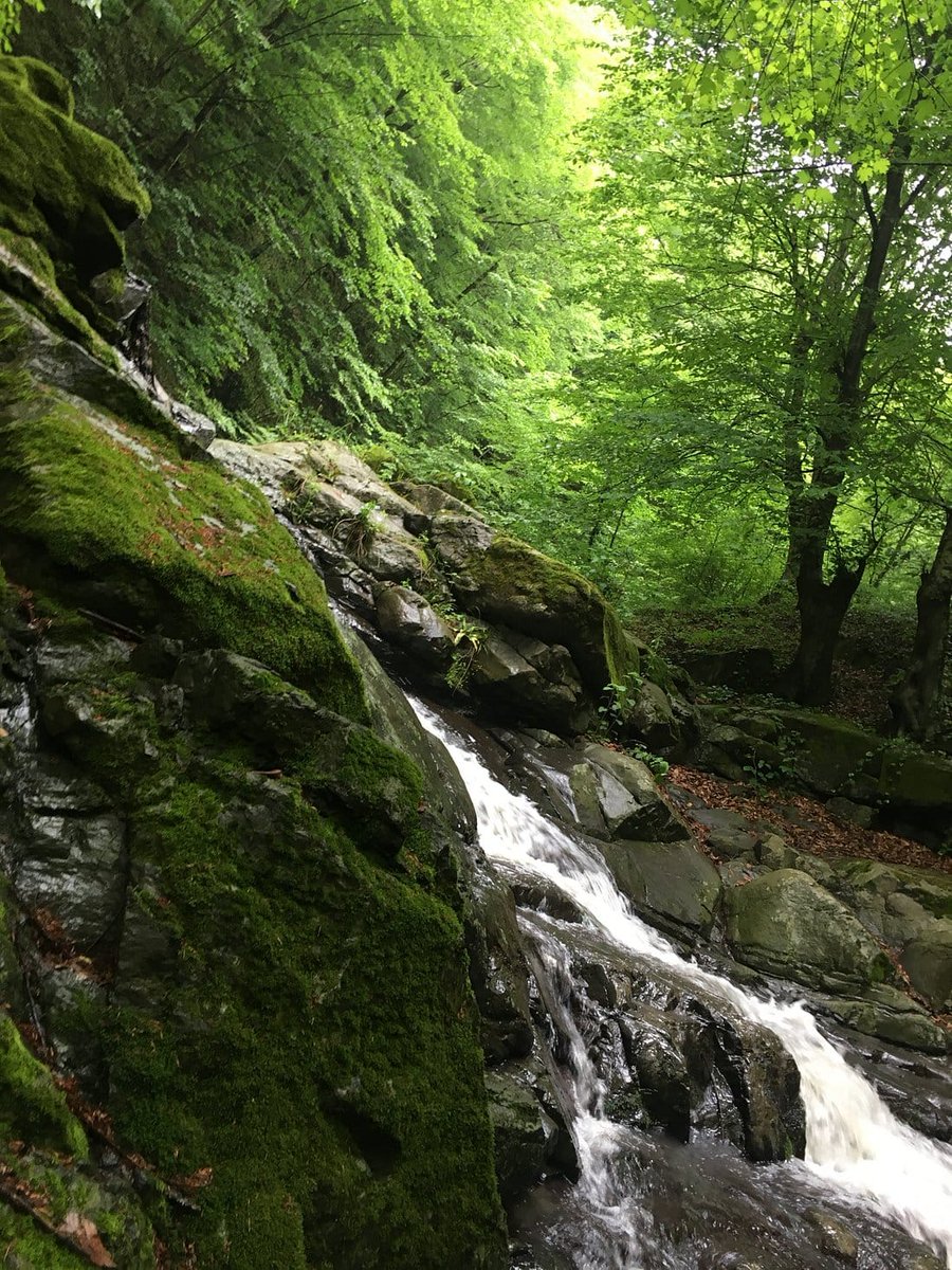 Yemyeşil bitki örtüsünün içerisinde, yaklaşık 60 metre yükseklikten süzülen suyunun meydana getirdiği doğal güzelliğiyle dağcılık ve doğa fotoğrafı tutkunlarının ilgi odağı olan Kabaceviz Şelaleleri/Çarşamba