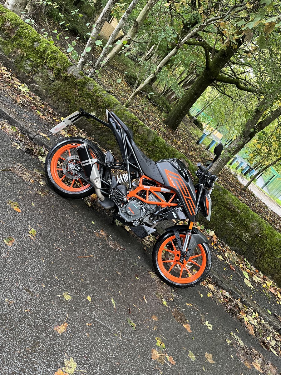 FyriemV2's tweet photo. UK forest vibes are rather vibey https://t.co/PXZrYalOjd