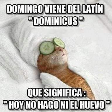 Litaindi's tweet photo. Feliz Domingo chic@s 😃 Hoy es día de Relax 😁😜
#YoMeRebelo9O https://t.co/puUZg6iliG