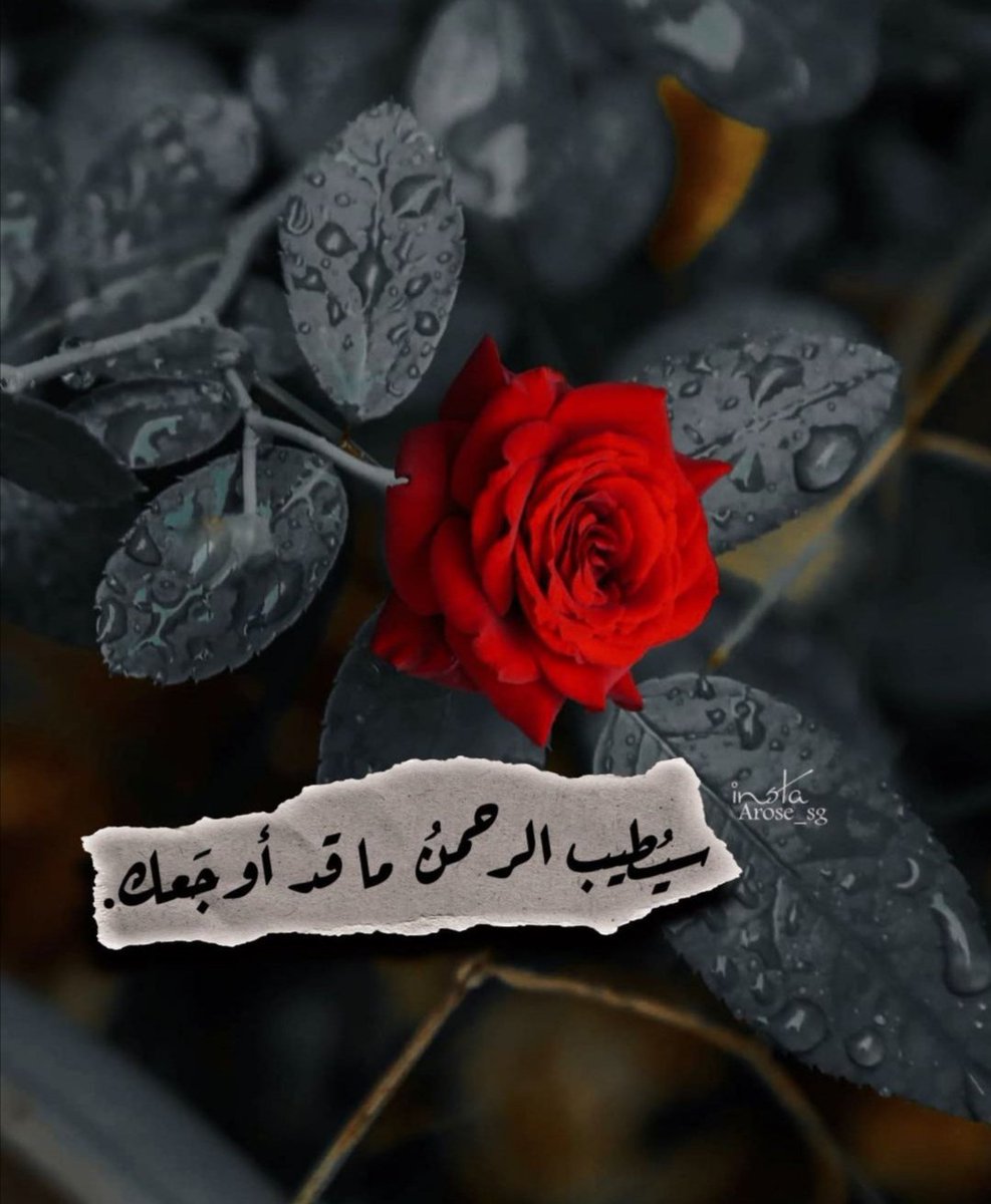 نِبِيِّلَةّ أّلَمَيِّنِأّوِيّ tweet media