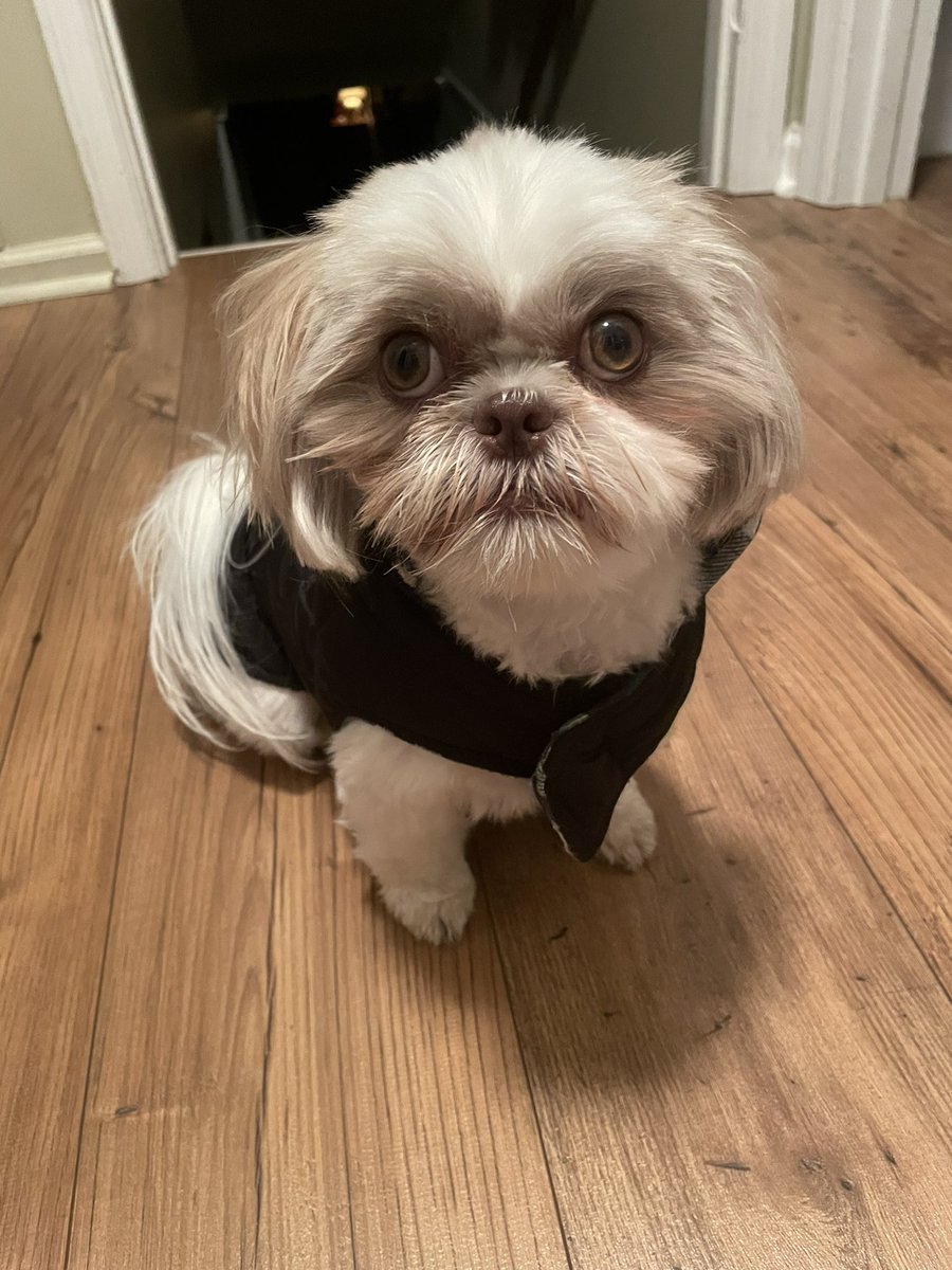 It’s 42 degrees in TN this morning. Of course, I put her in her coat.🥶