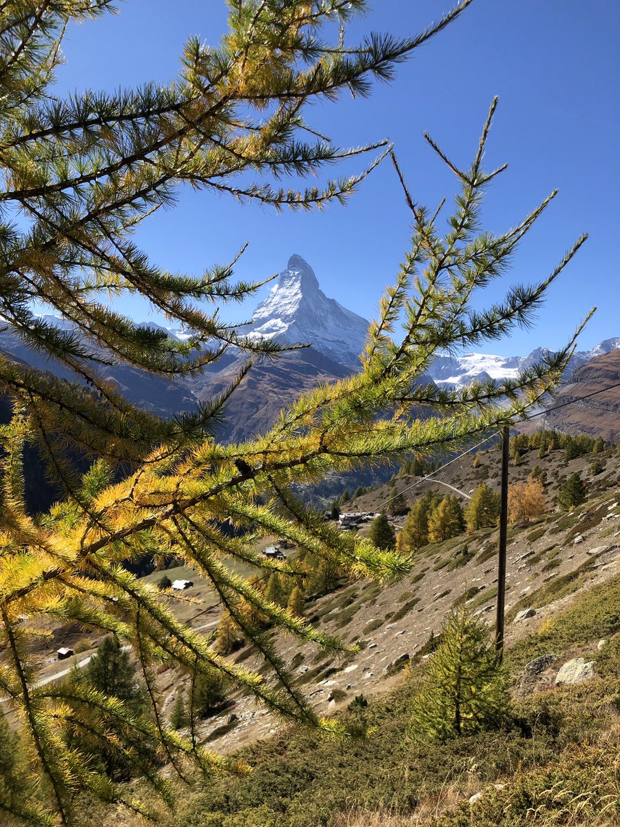 rolandbosch's tweet photo. Even nagenieten. #zermatt #findeln https://t.co/yF70ewPCmE