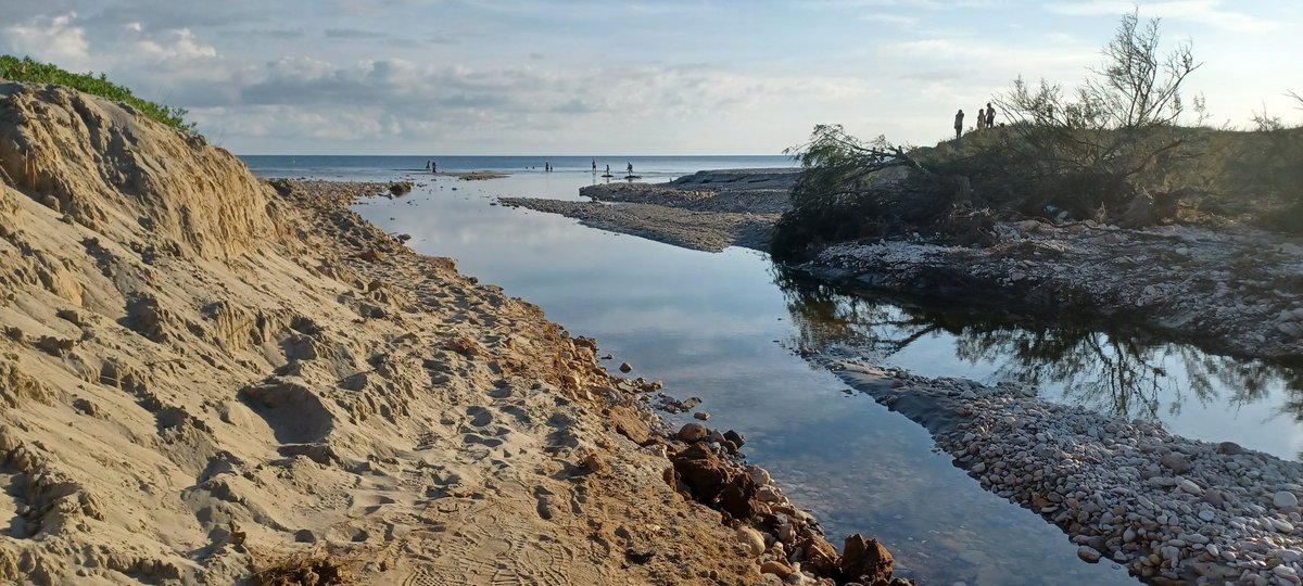 soniamarcamps's tweet photo. Després de ses pluges, #sacalma
#Binigaus #Menorca https://t.co/g6ZohTGQfD