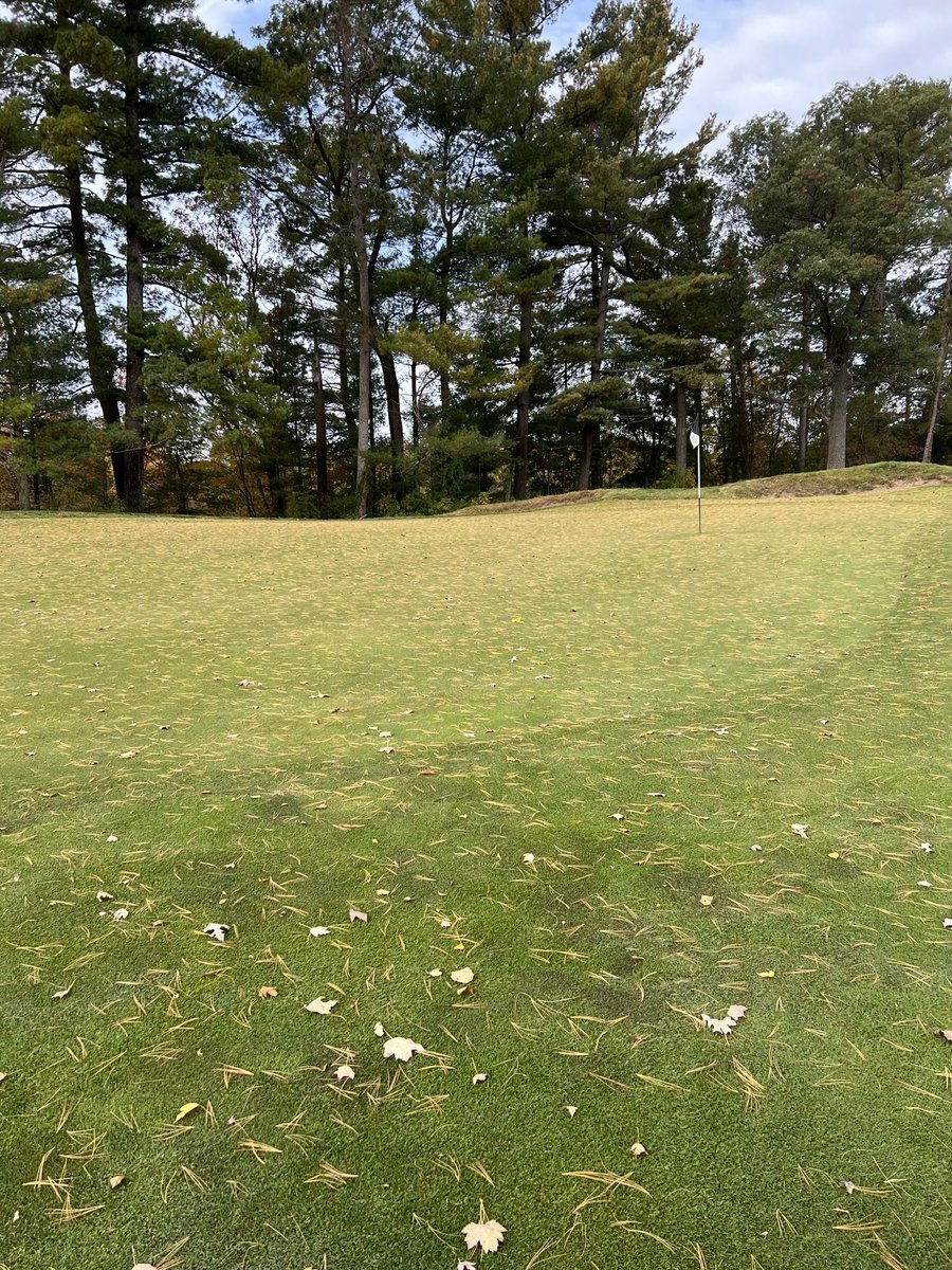 MattDShafer's tweet image. Trees are expensive