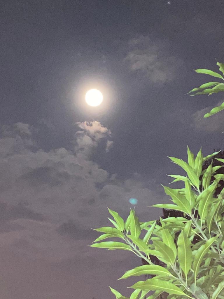 teteishq's tweet photo. #moonforjoon https://t.co/64JsbnmluM