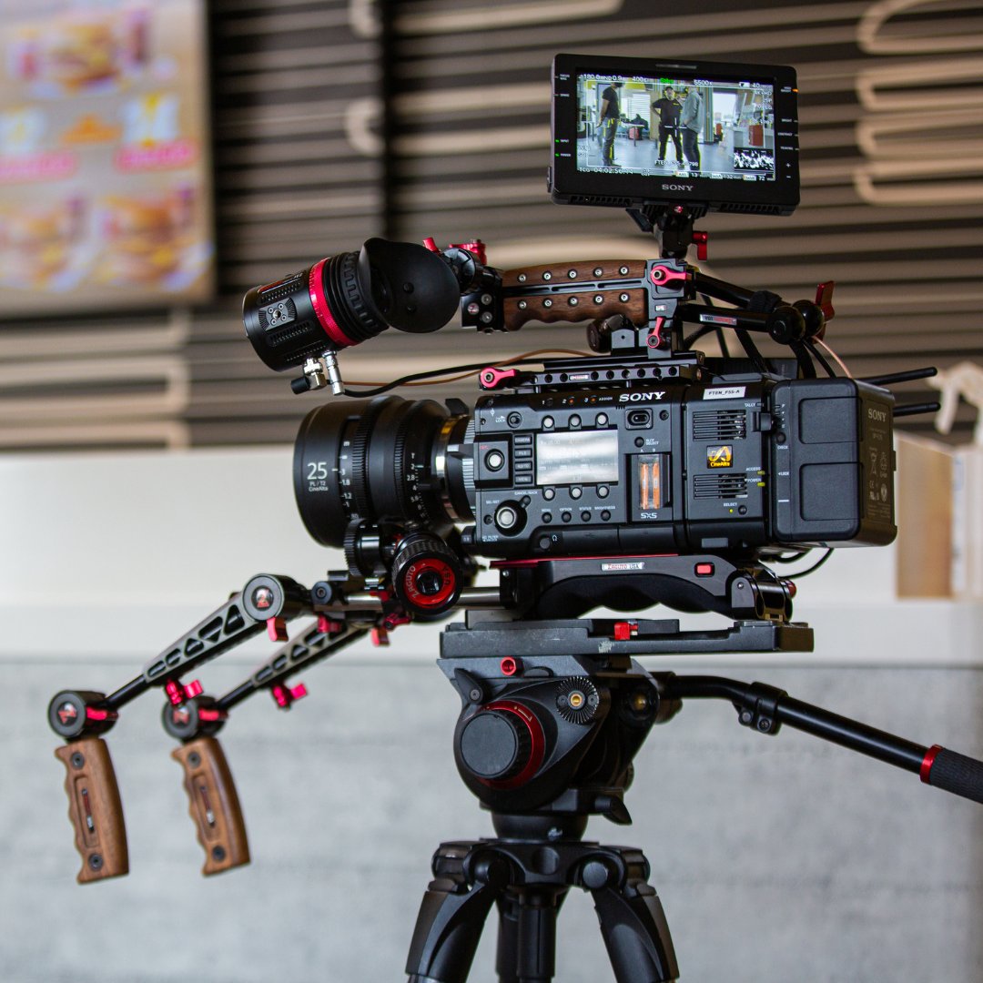 ボタニカル ミディアムベール Zacuto Z-ZHH Zonitor ハンドヘルド