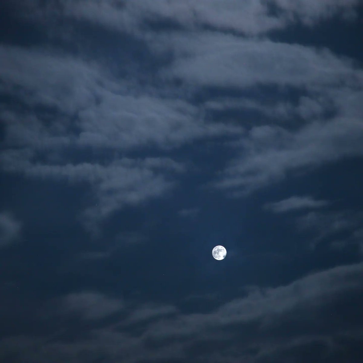 jaipatel_7707's tweet photo. #Sharad purnima 

Photo courtesy jaipatel_7707

#sharad Purnima 
Photo clicked through my camera https://t.co/HtRP84LbEy