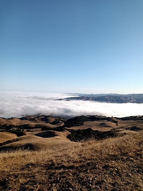 Zotero found # in a Blue vault at this location! Join me playing #coinhuntworld, It's awesome! coinhunt.gsc.im/fE3hHPRSym #cryptocurrency #2839193